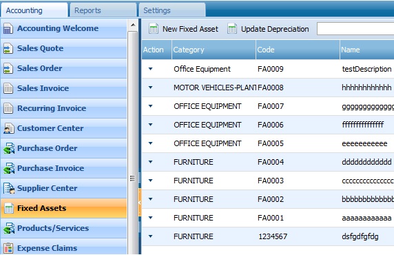 Fixed Asset
